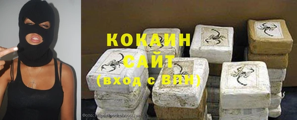 спиды Заводоуковск
