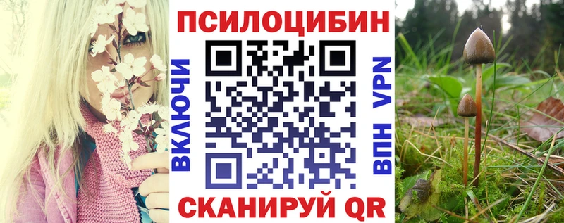 Купить где  Сокол  Псилоцибиновые грибы ЛСД 